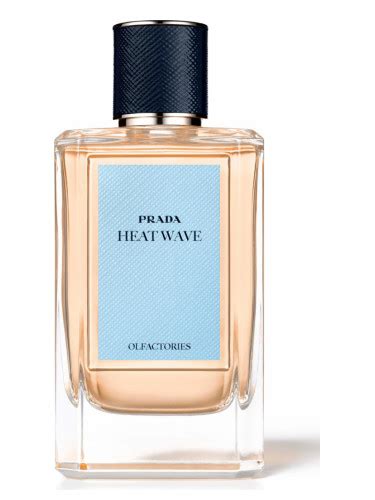 heat wave prada|Heat Wave Prada pour homme et femme .